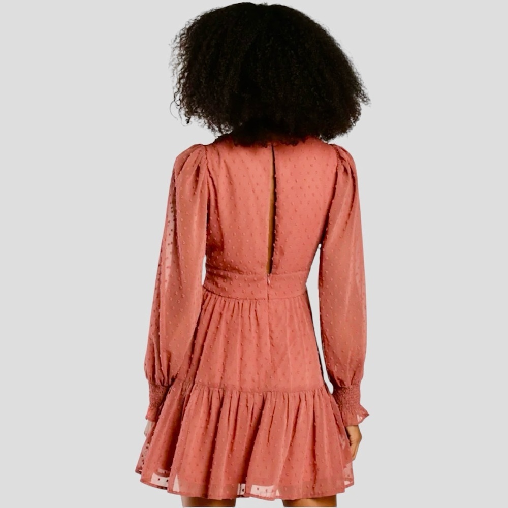 LULUS Charming Approach Rusty Rose Swiss Dot Tiered Mini Dress NWT Sz Small - Picture 2 of 13